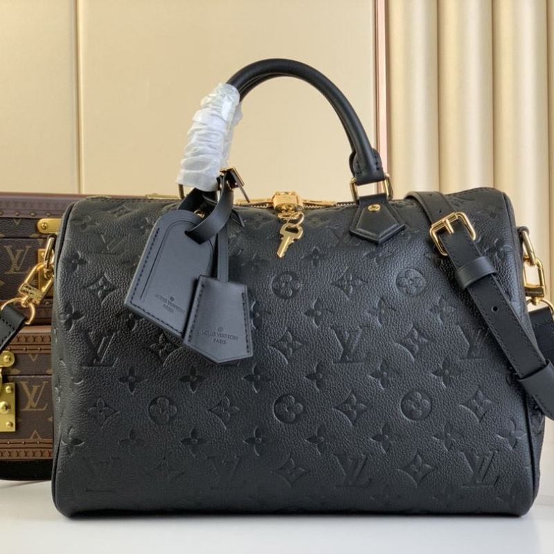 LV Travel Bags